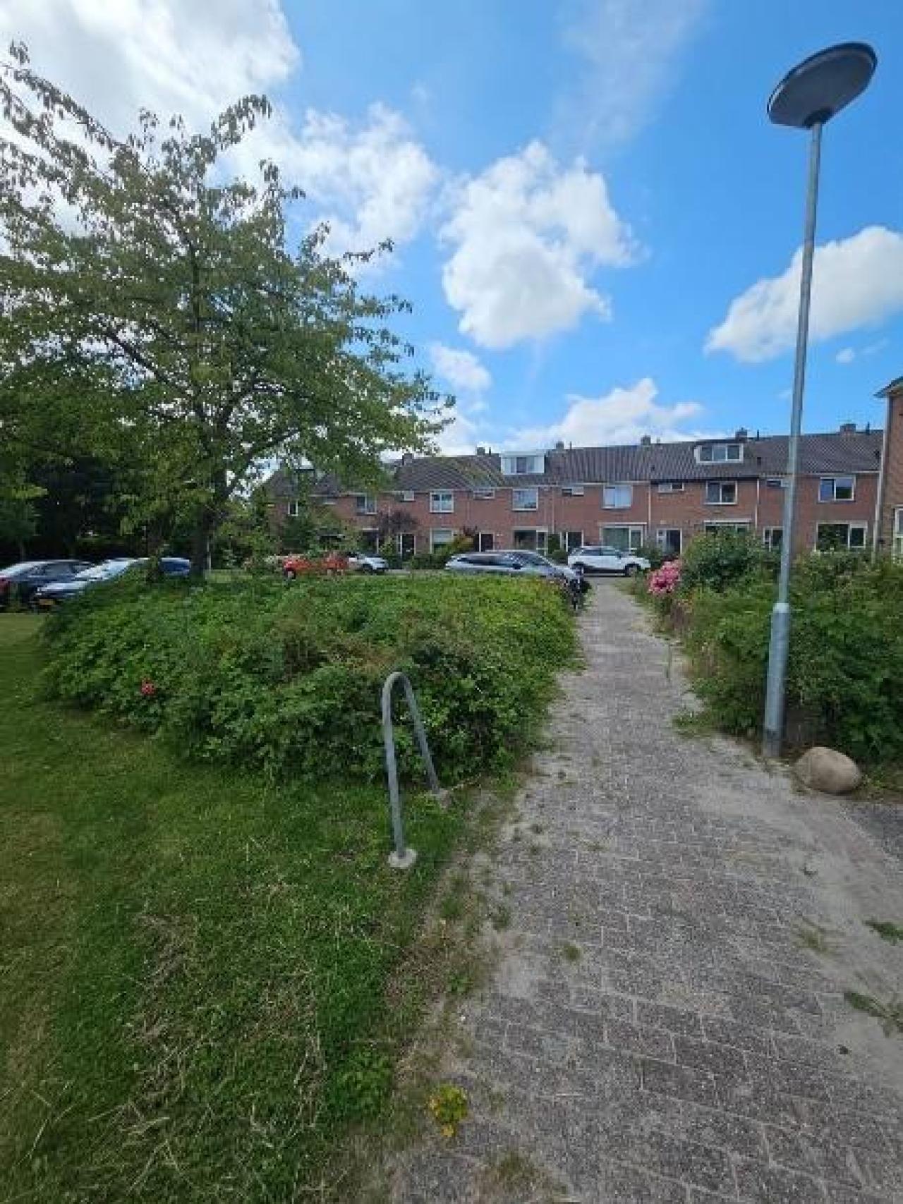 Graaf Willemstraat 113