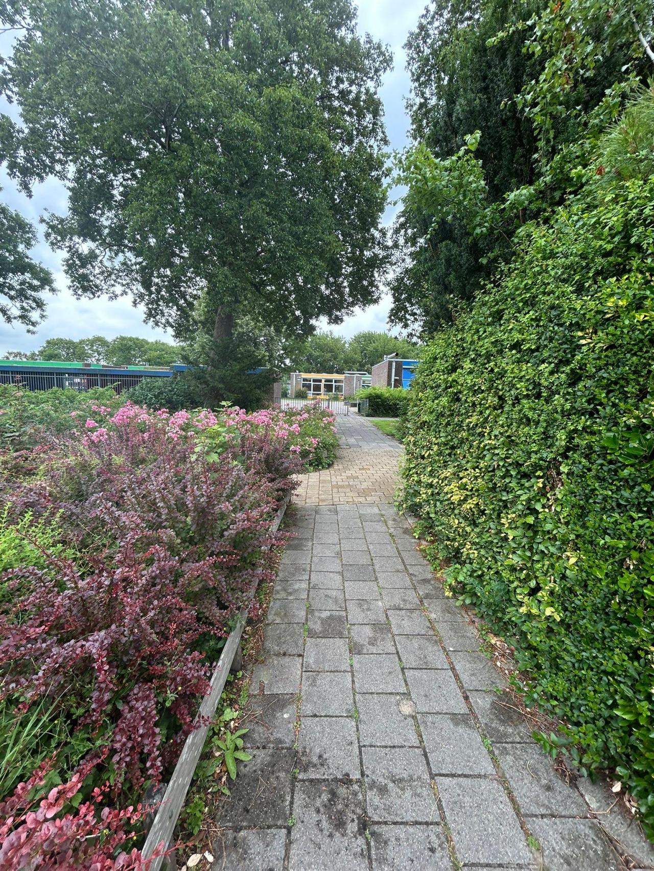 Hertog Albrechtstraat 439