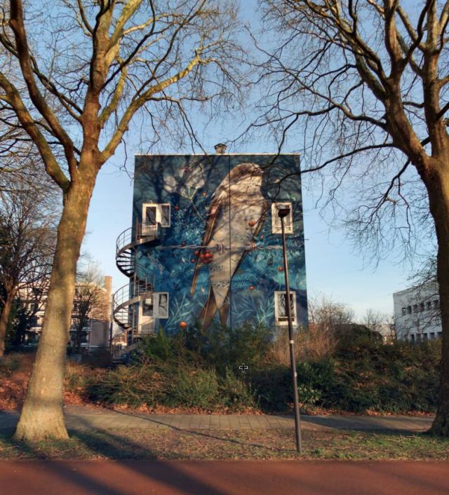 Westfriese Hof 107