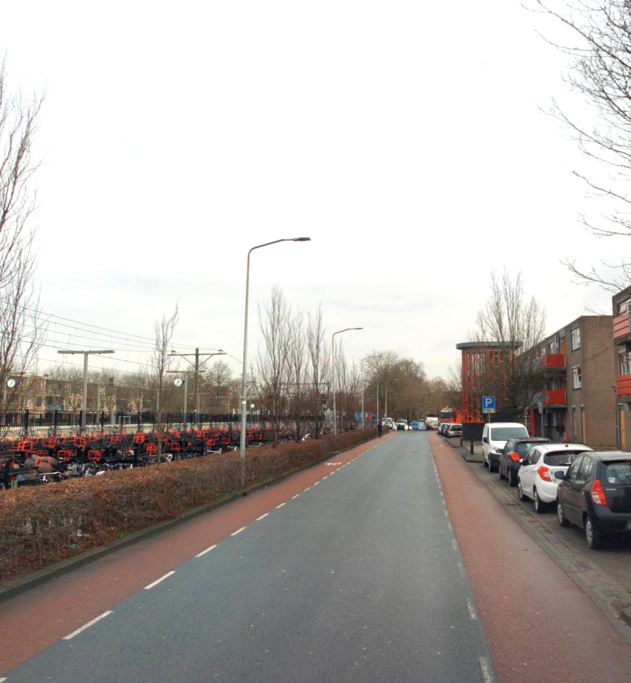 Rijnweg 50
