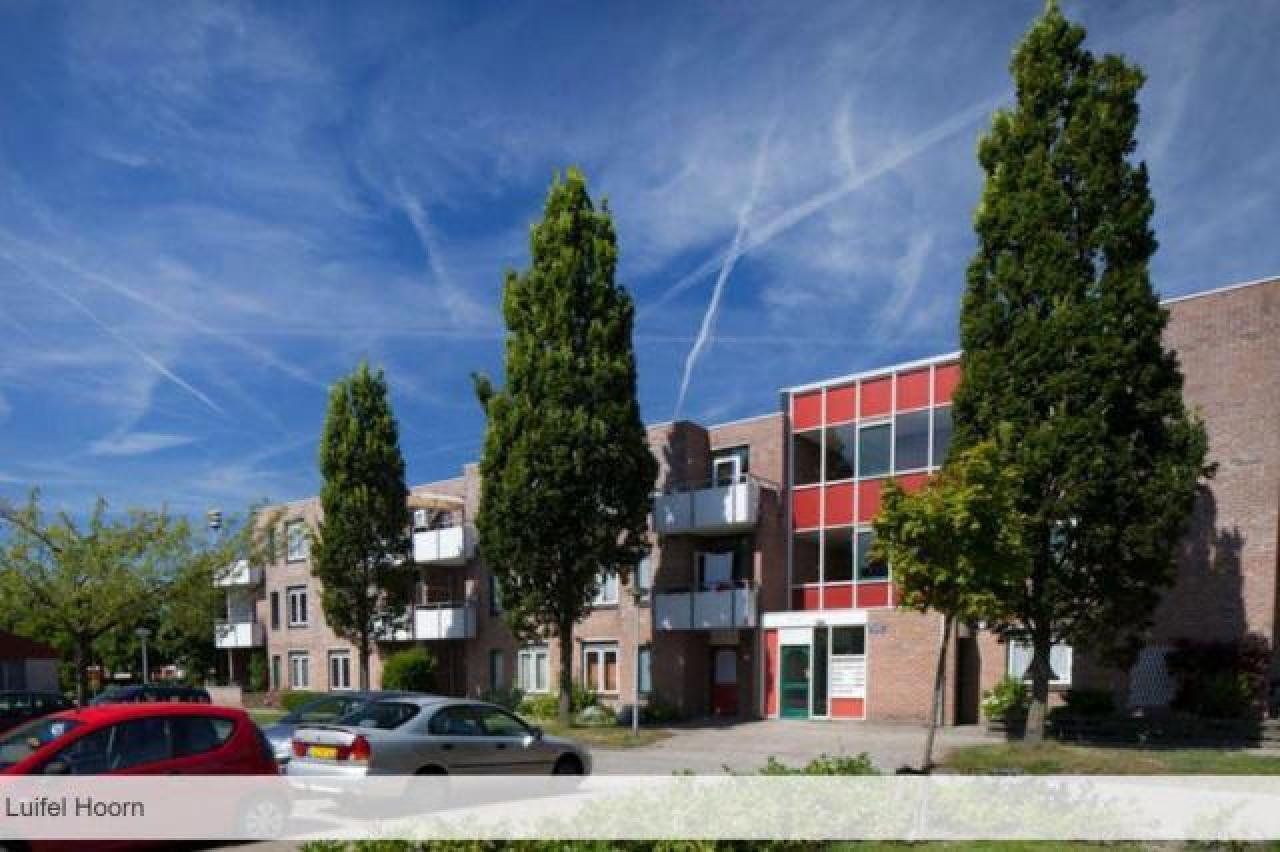 Luifel 42, 1628 GV Hoorn, Nederland