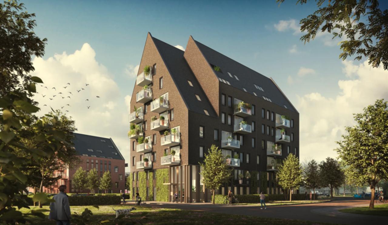 Baccarastraat , Zwaag, Nederland