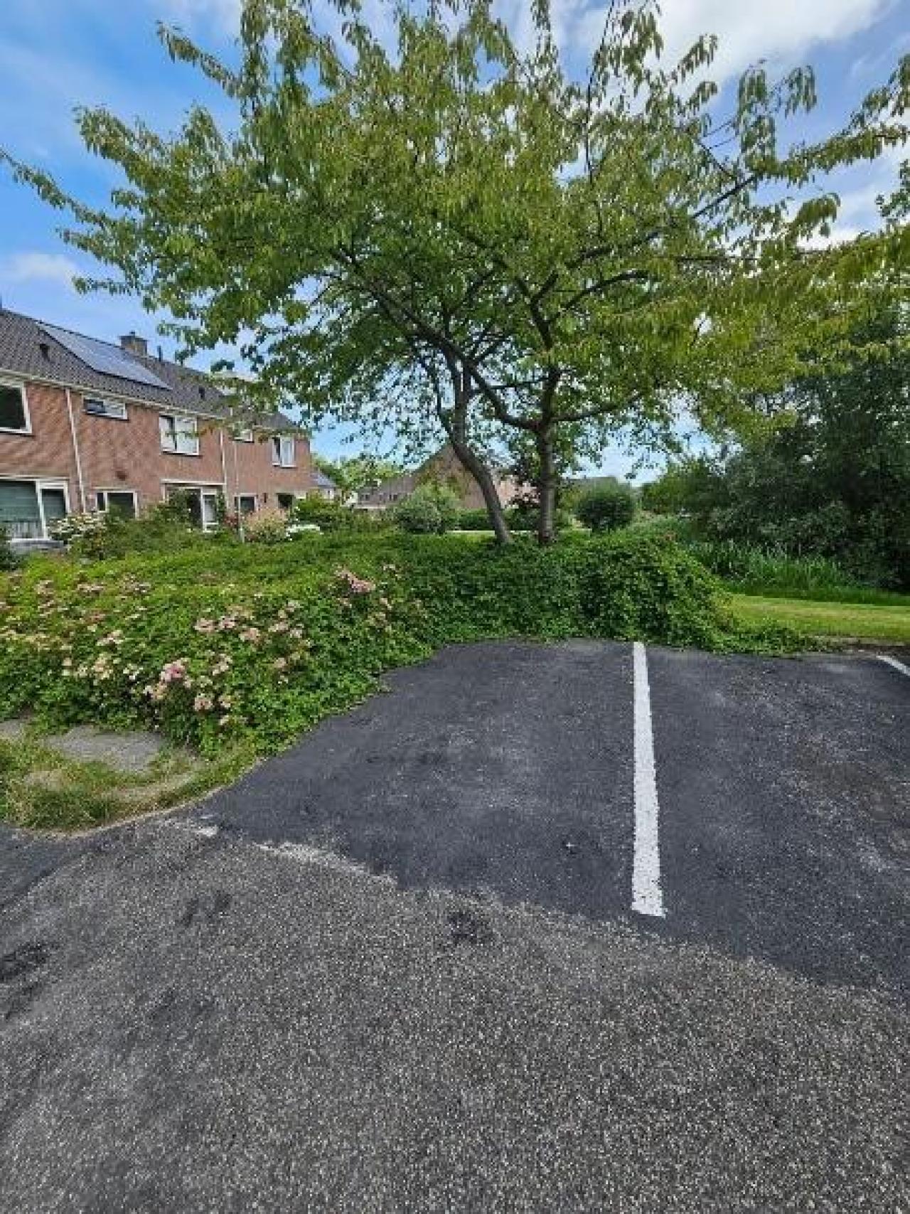 Graaf Willemstraat 113