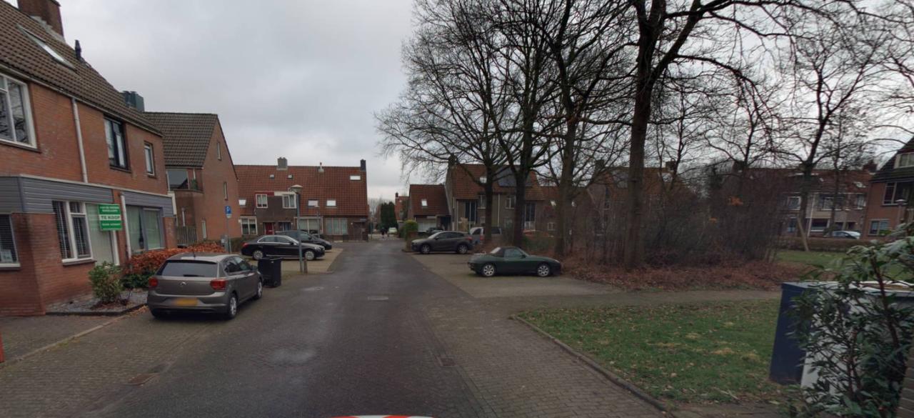 Boterbloem 67