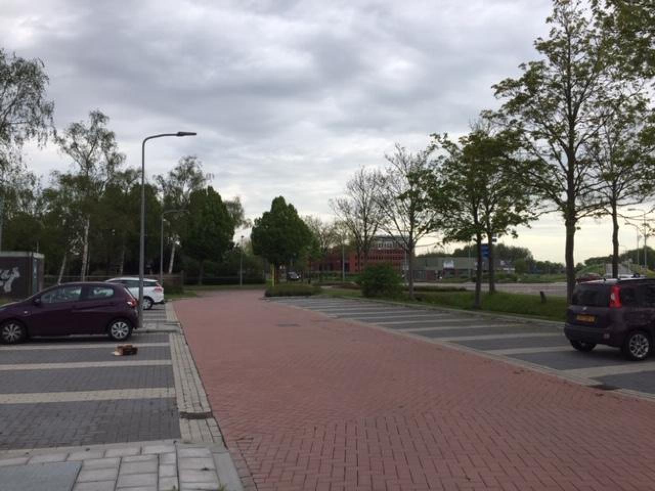 Dirk Veermanhof 53