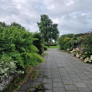 housePhoto