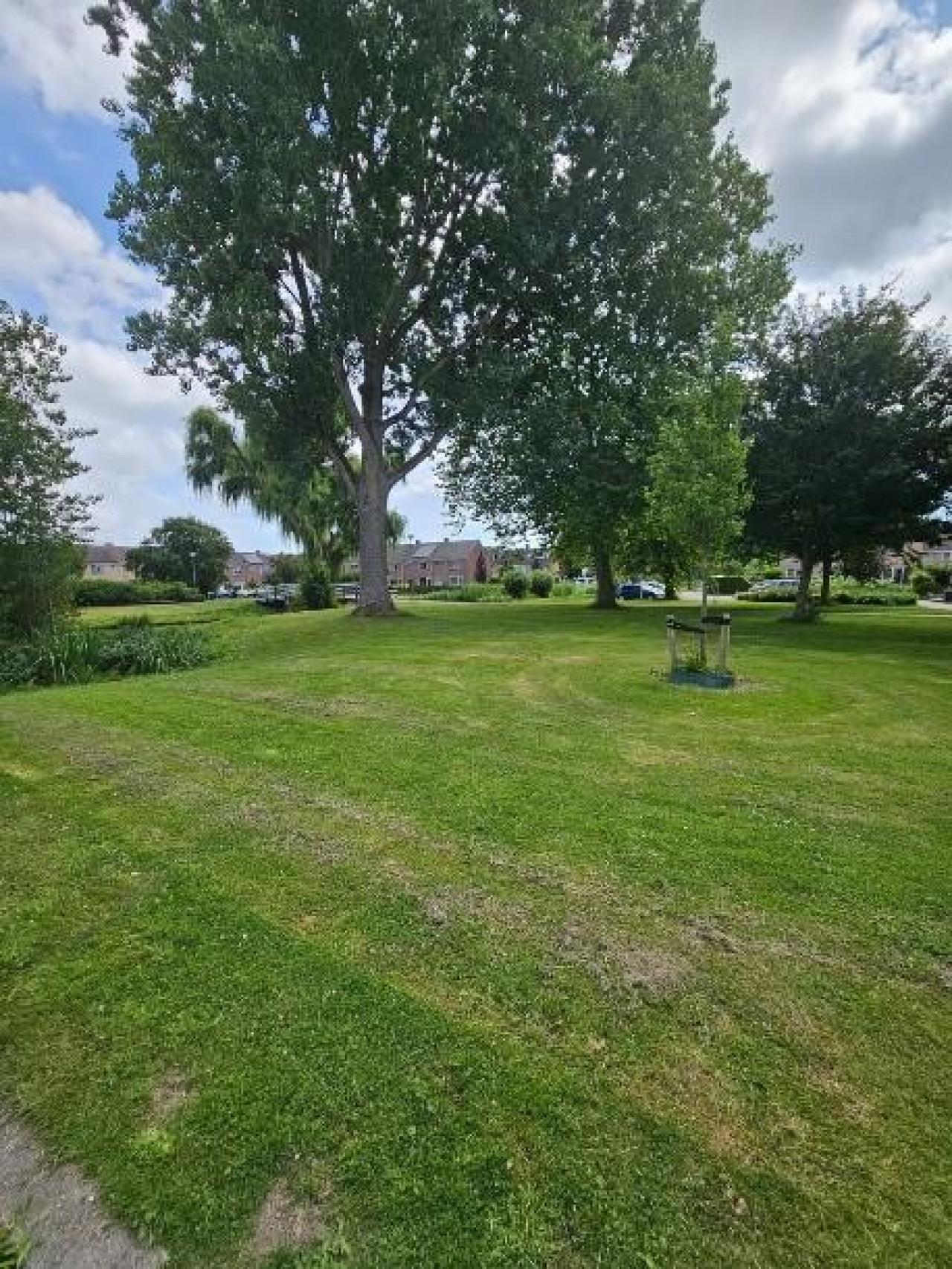 Graaf Willemstraat 113