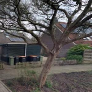 housePhoto