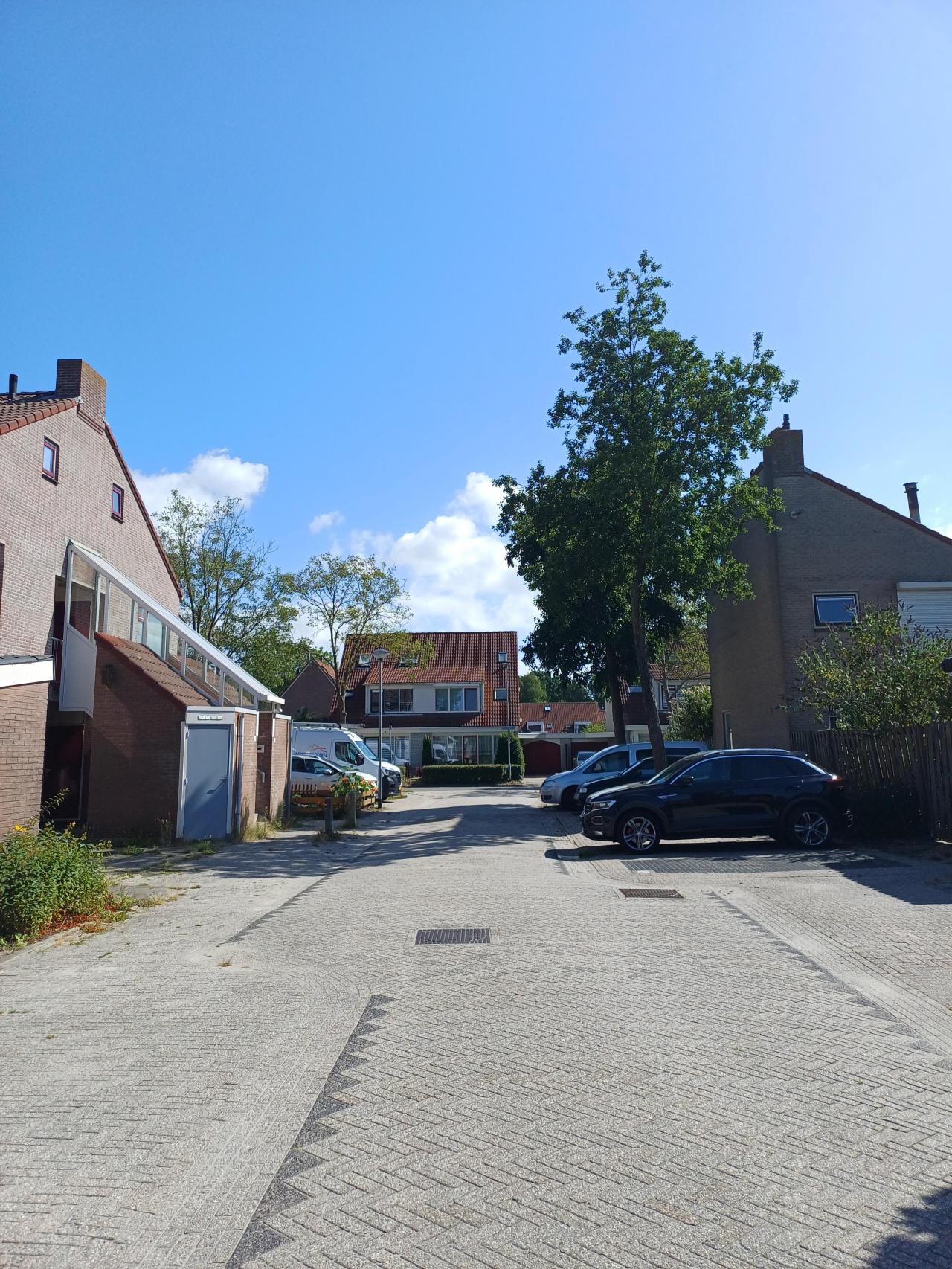 Kruisgang 33