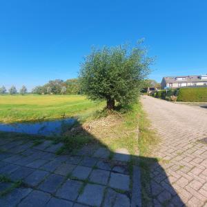 housePhoto
