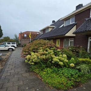 housePhoto