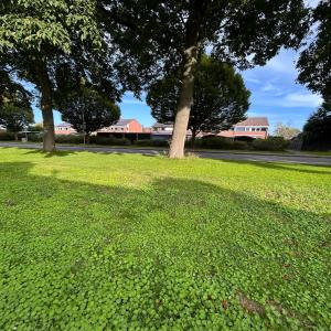 housePhoto