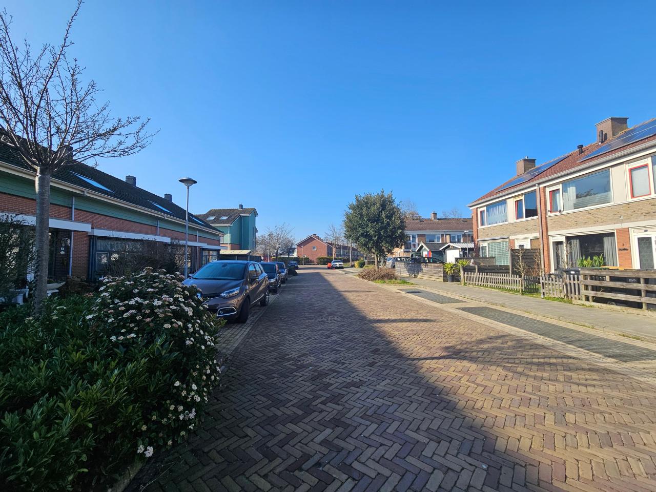 Molenmeesterstraat 10