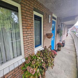 housePhoto
