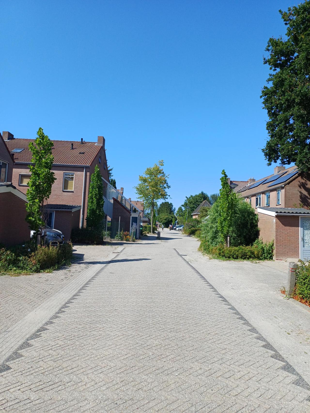 Kruisgang 33