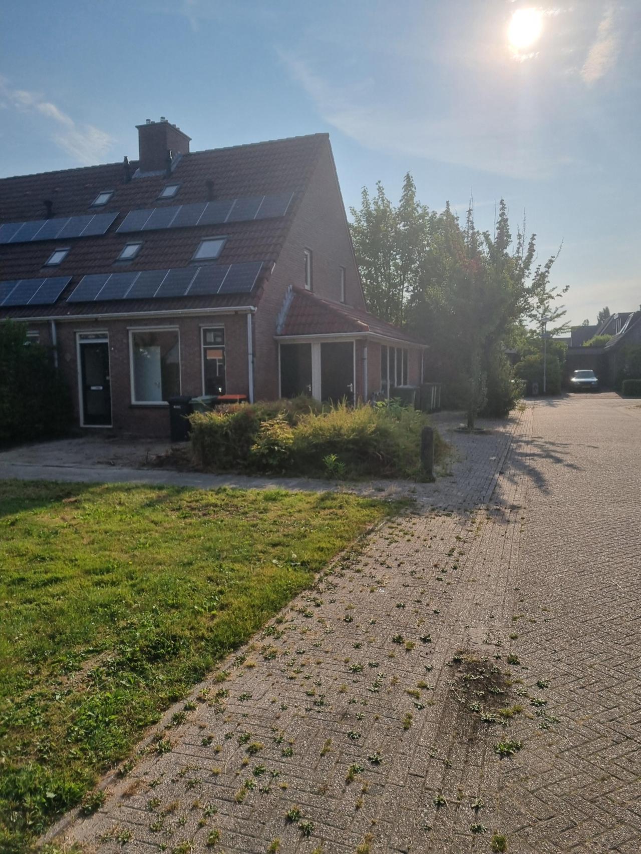 Zanglijster 82