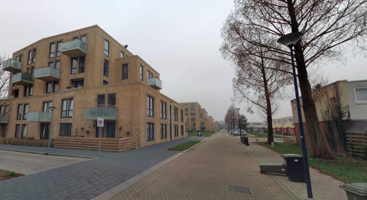 Noorderlicht 208