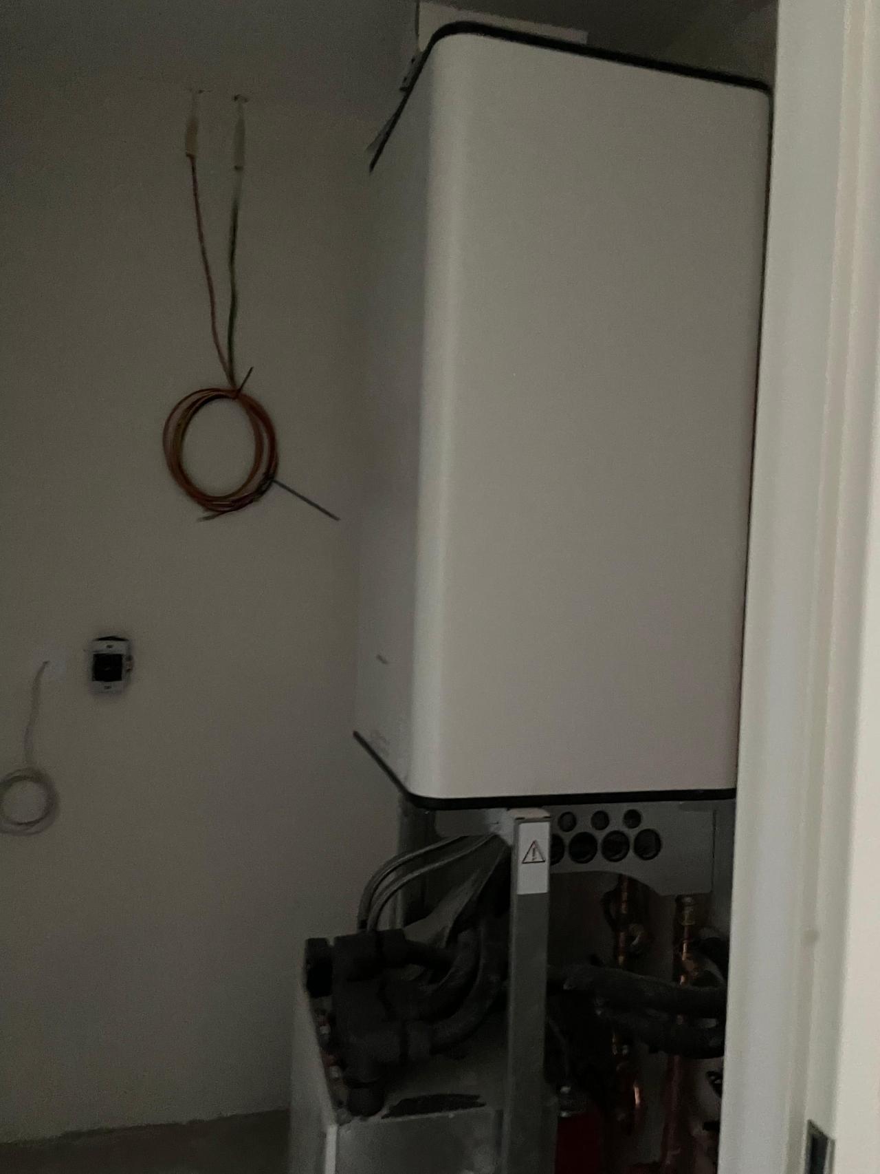 Johan Van Gheelborg 20