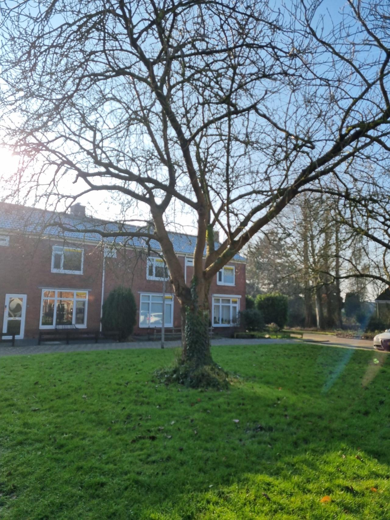 Wijmersplantsoen 28