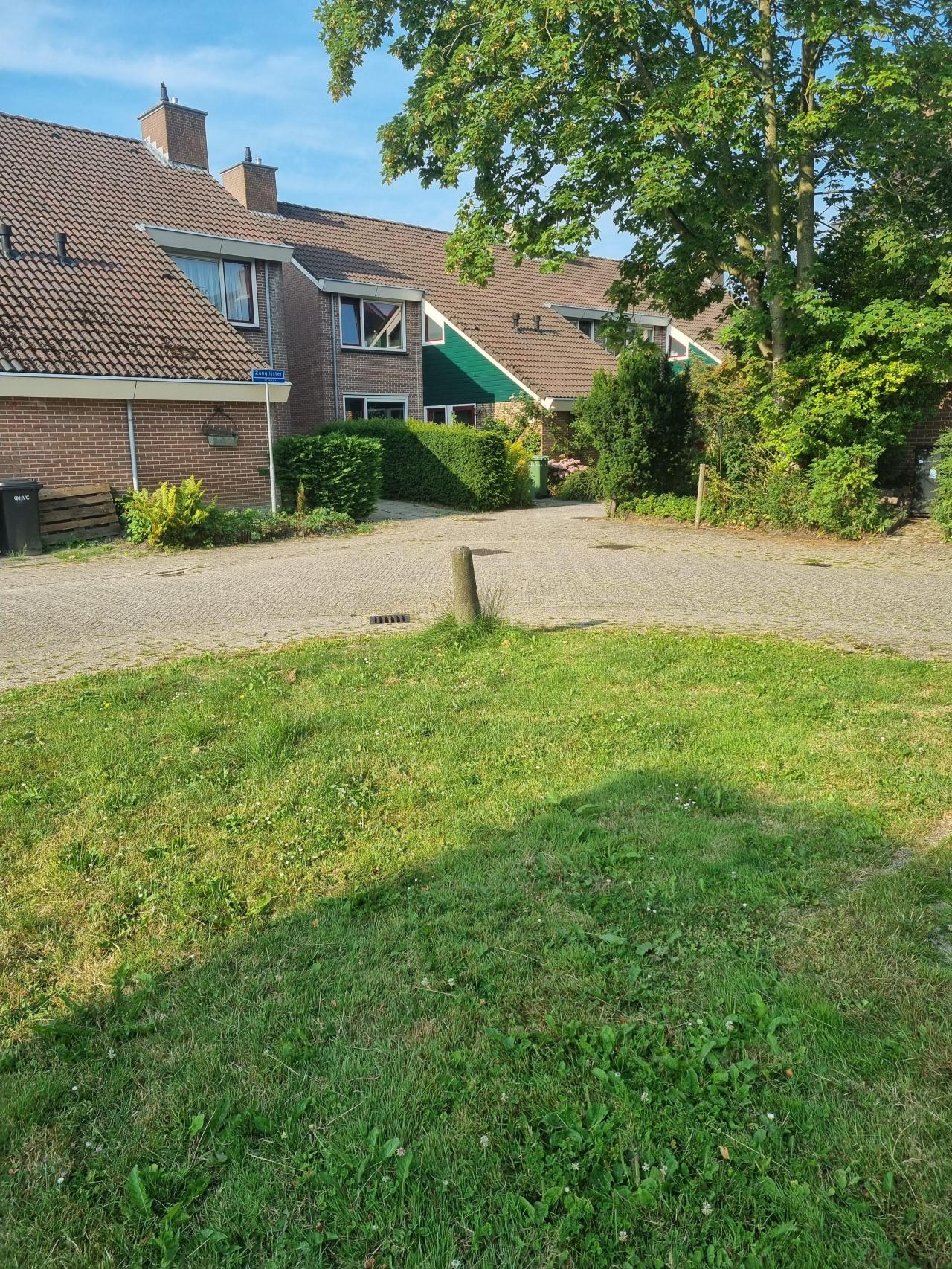 Zanglijster 82