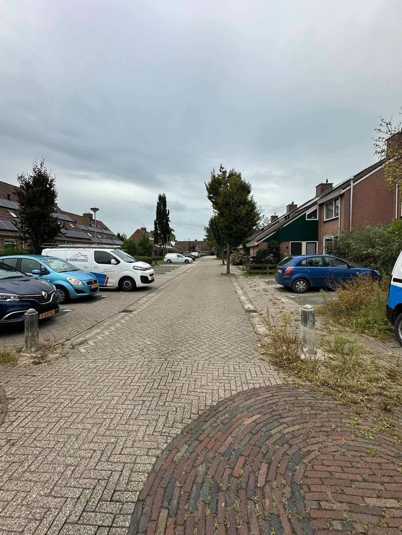 Zanglijster 7