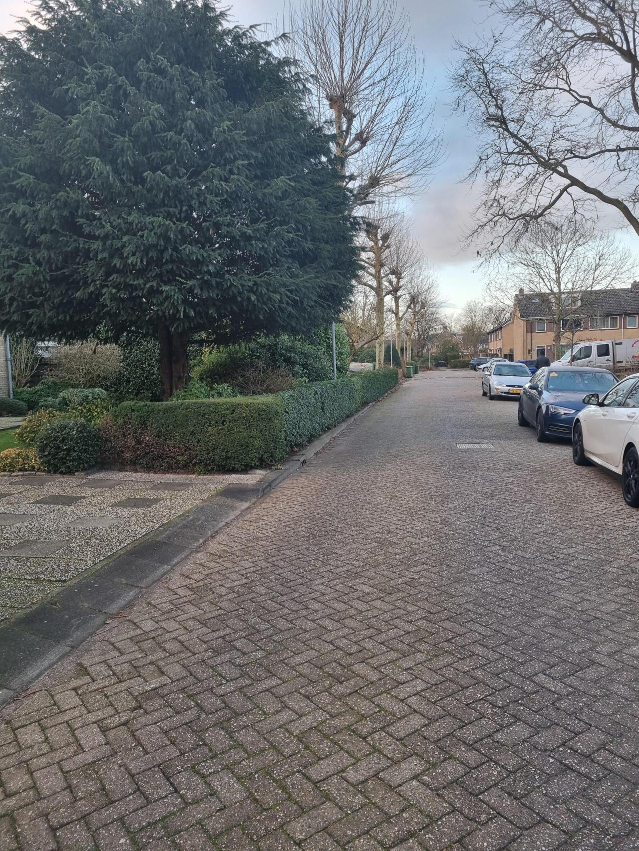 Hugo de Grootsingel 52